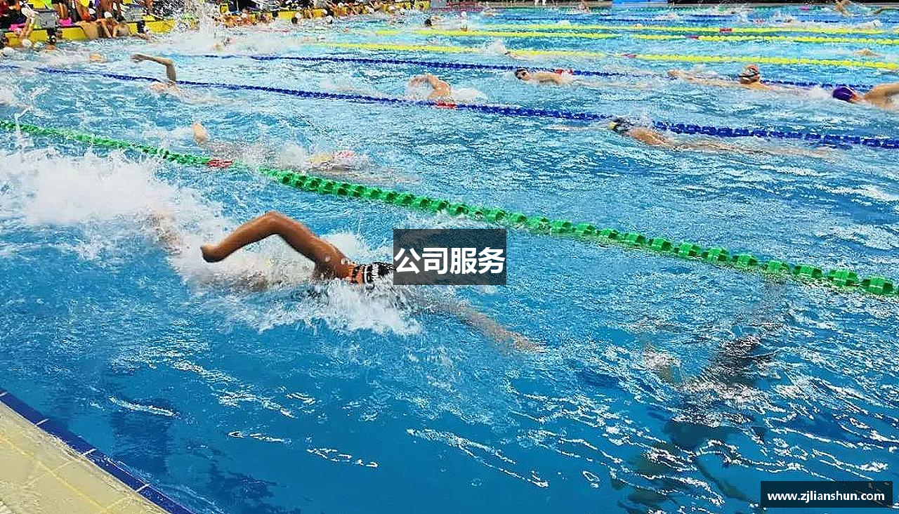 公司服务